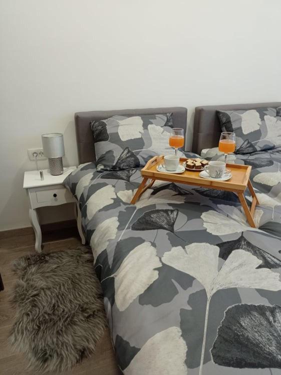Apartmán Apartman Cezar Rijeka Exteriér fotografie